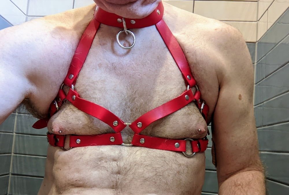 Boob harness #19