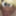 Funny avatars with my cock 🤣🤪