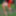 Redhead Outdoors Strips Jeans Off Wearing Pantyhose #44