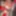 LADY?IN RED PT2 #12