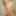 Misti May Gets Nailed By Skinnyboy Richard Kline