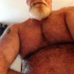 Stachebear 