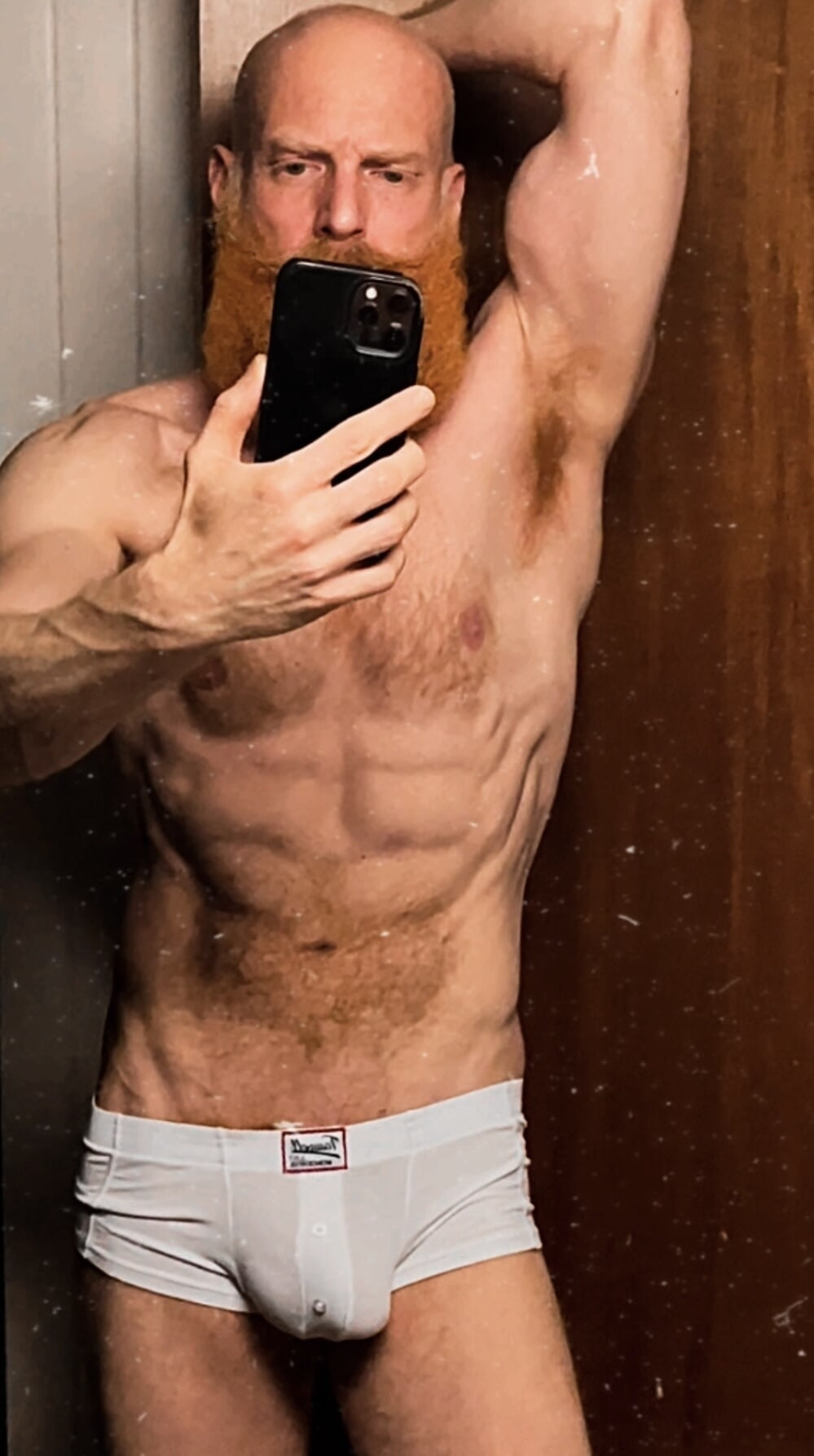 Ginger bush and body #6