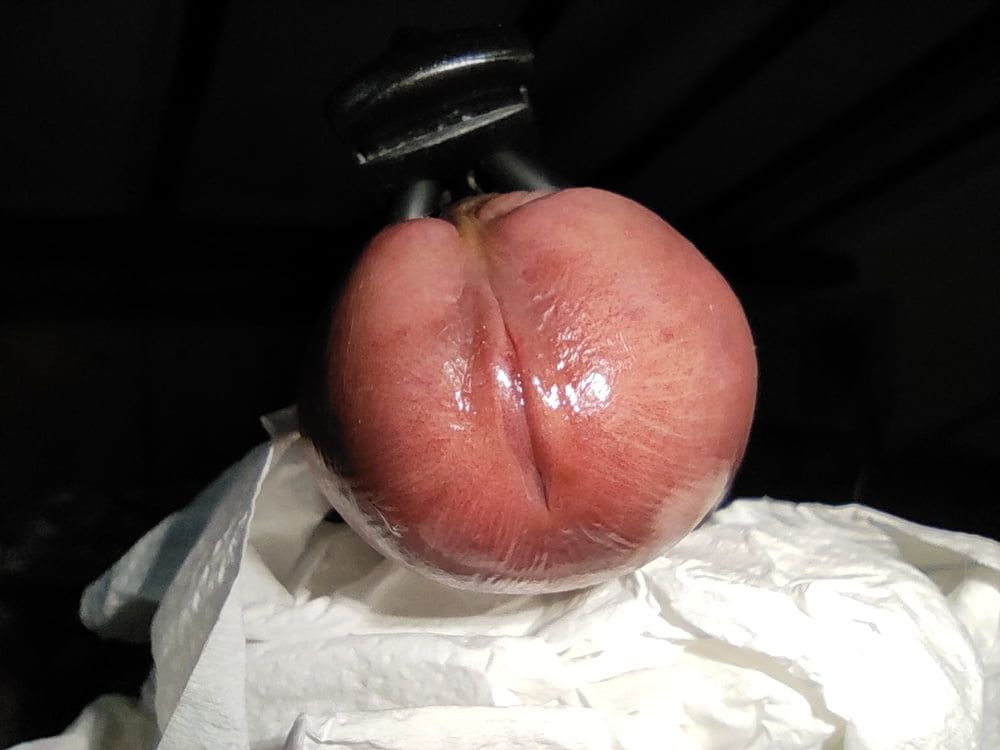 Electro estim cock & precum close-up #8