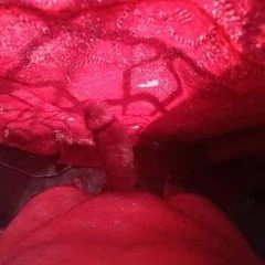 Alone Dick waiting big Boobs