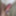 新しい写真