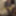 amateur transvestite sounding urethral lingerie 1