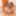 Two hot Asians blow a hard meat pole