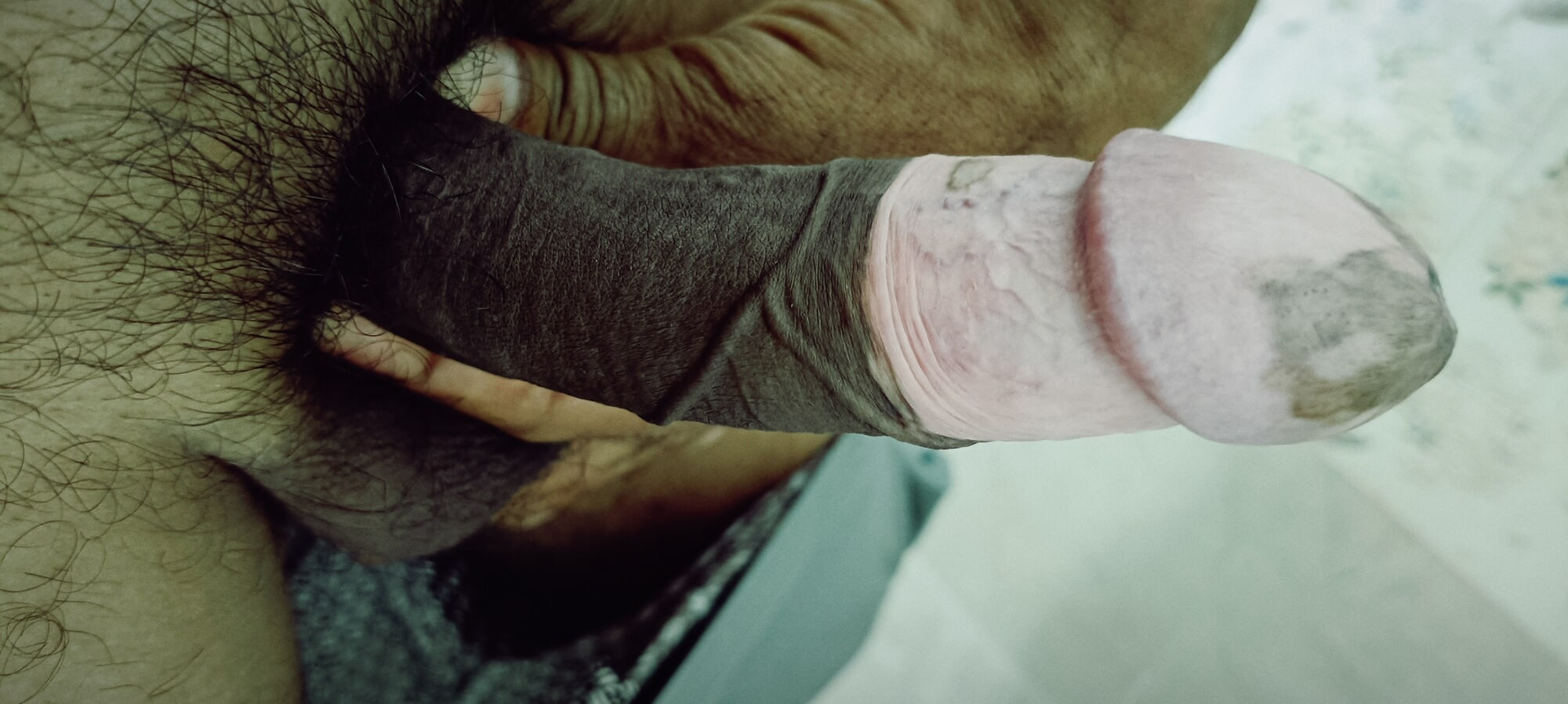 Delicious cock morning
