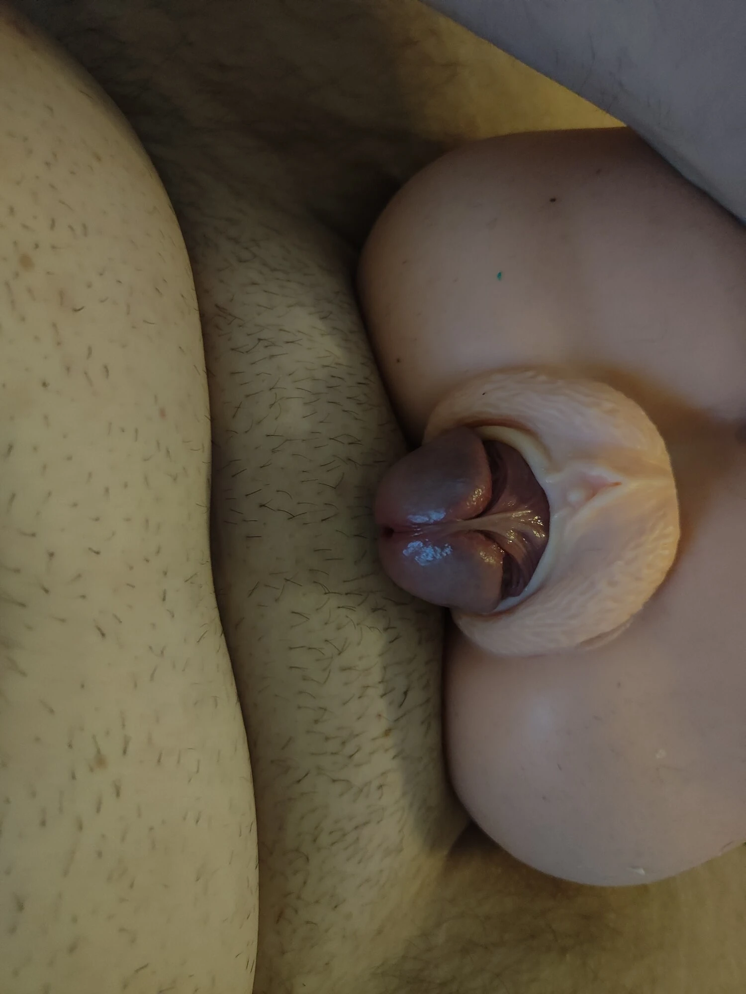Cock comes out of the Masturbator 
