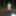 Strip in the woods #5