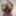 Naked Monika Fox In Mask With Flowers