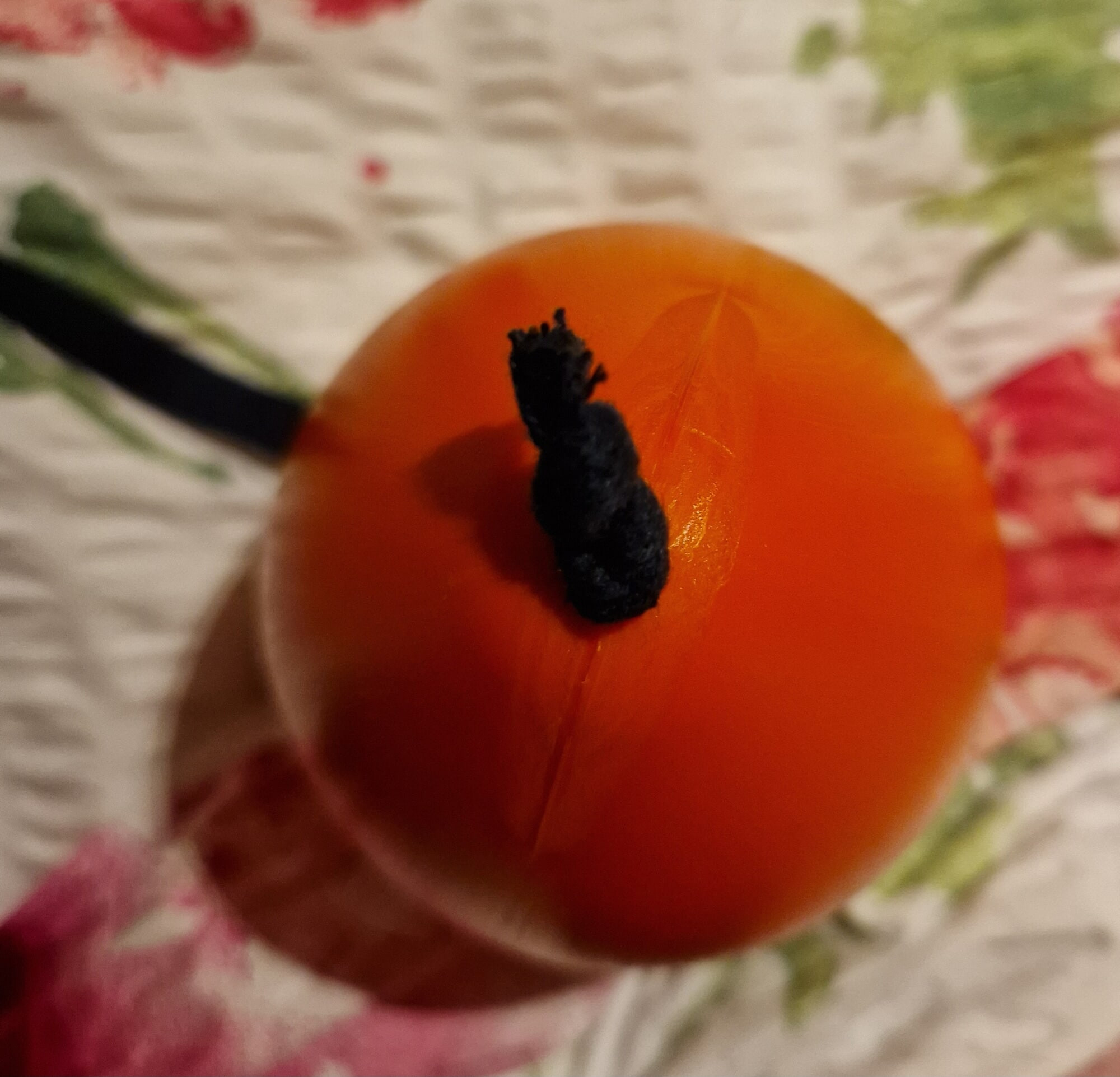 oranges Ei  #2