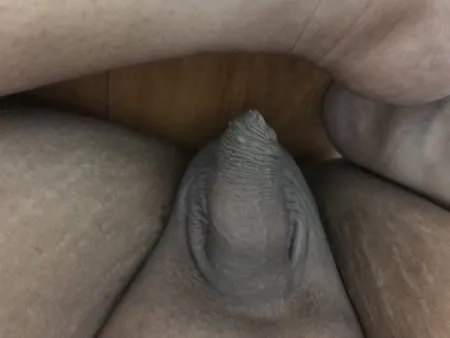 Chubby small dick anal dildo amateur 