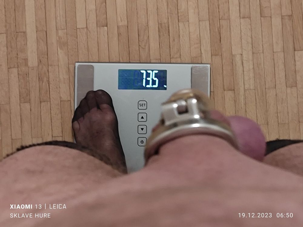 Mandatory weighing cagecheck plugcheck December 19, 2023 #11