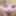 Squirting 60y Anal GILF Stepmom Rose Bud for BBC