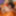  Dani Jensen and Veronica Avluv are neighbors, who are going