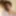 Free Anelysa Morens Photos