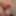いくつかの新しい写真
