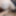 MILF Housewife Ass Fucked GIF