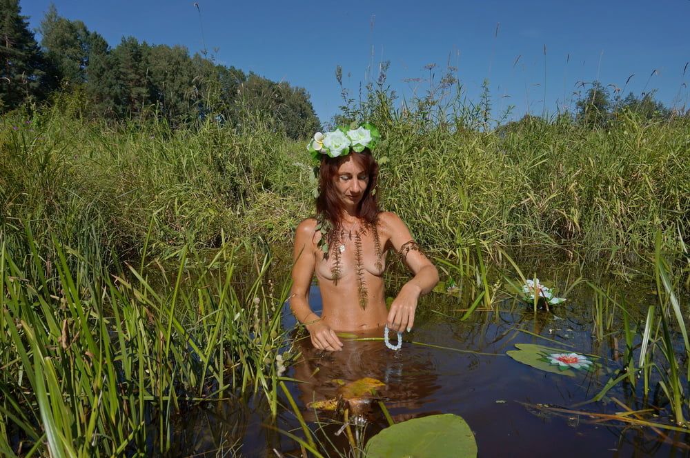 In pond with waterflowers #29