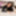 FEMOUT.XXX: The Leoness Prey