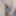 Daily duty of the naked slave April 7th, 2024