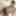 Nene Sakura :: Look At Me having SEX!  - CARIBBEANCOM #5