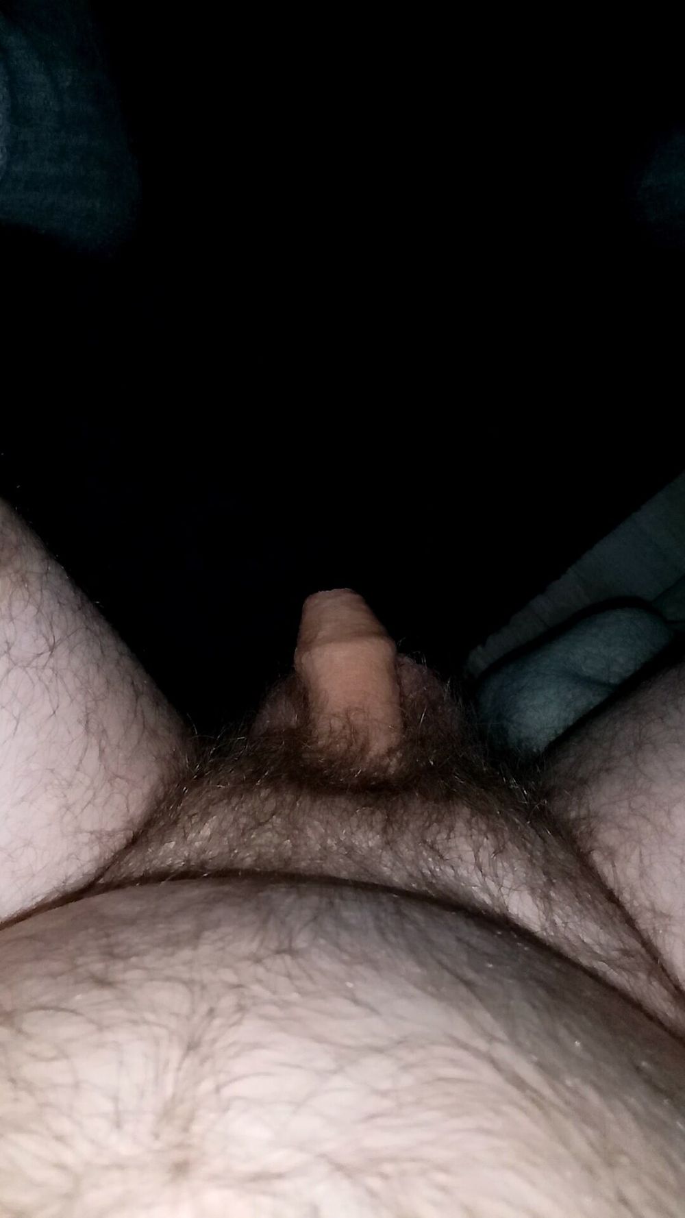 Cock in fur #2