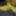 Yellow Pantyhose