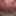 My pissing cunt in detail #5