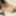 Sakura Saya Rides a Hard Cock 
