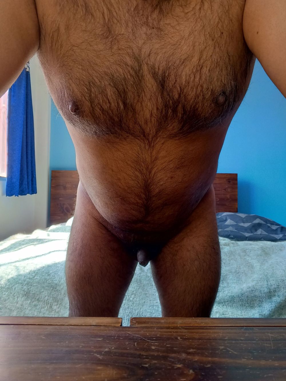 Oso peludo #3