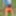 2019 Summer  #5