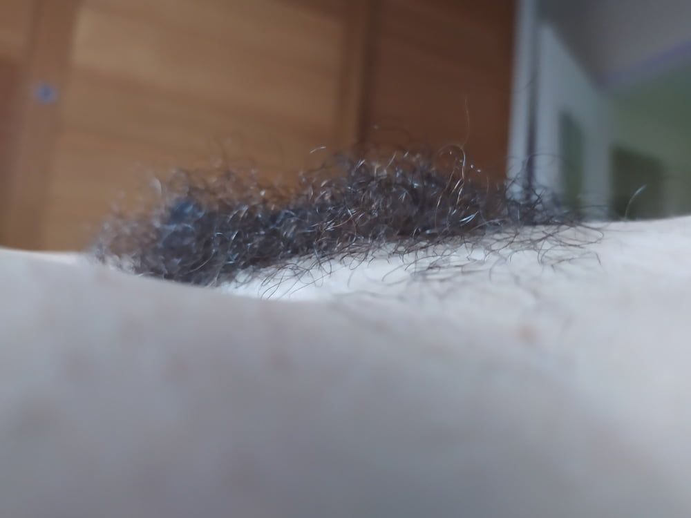 hairy #53
