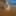 Flroian Johannes Mueller nude at the beach #58