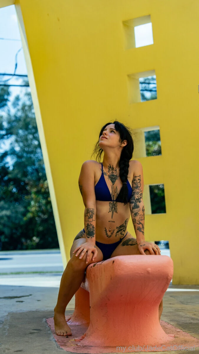 Jade Cat Free Photos #6