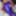 N?glig? purple and Pantyhose white #29