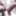 Bondex total nylon encasement #19