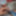 Closeup tamil boy dick