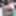 ただの写真です笑
