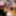 Futa on the Menu! Animated Threesome by Prime3DX  #3