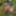 Petite Allumeuse en Foret🌳 CuMSLuT P u b l i c #6