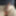 Dick Pics #21
