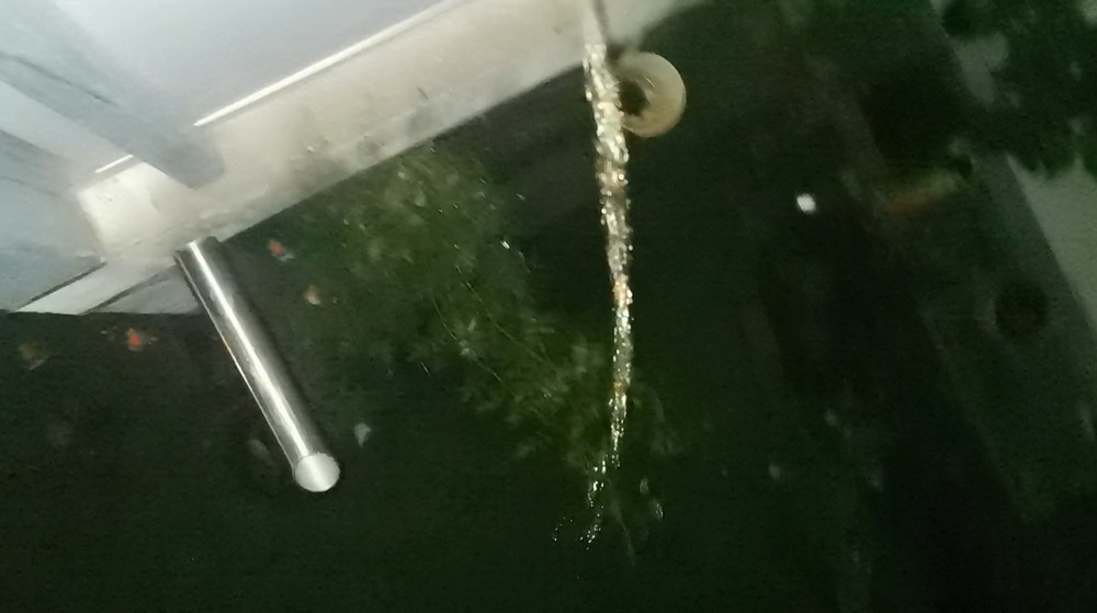 Public Piss Pee Golden Shower Big Cock balcony #4