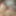 Titties #16