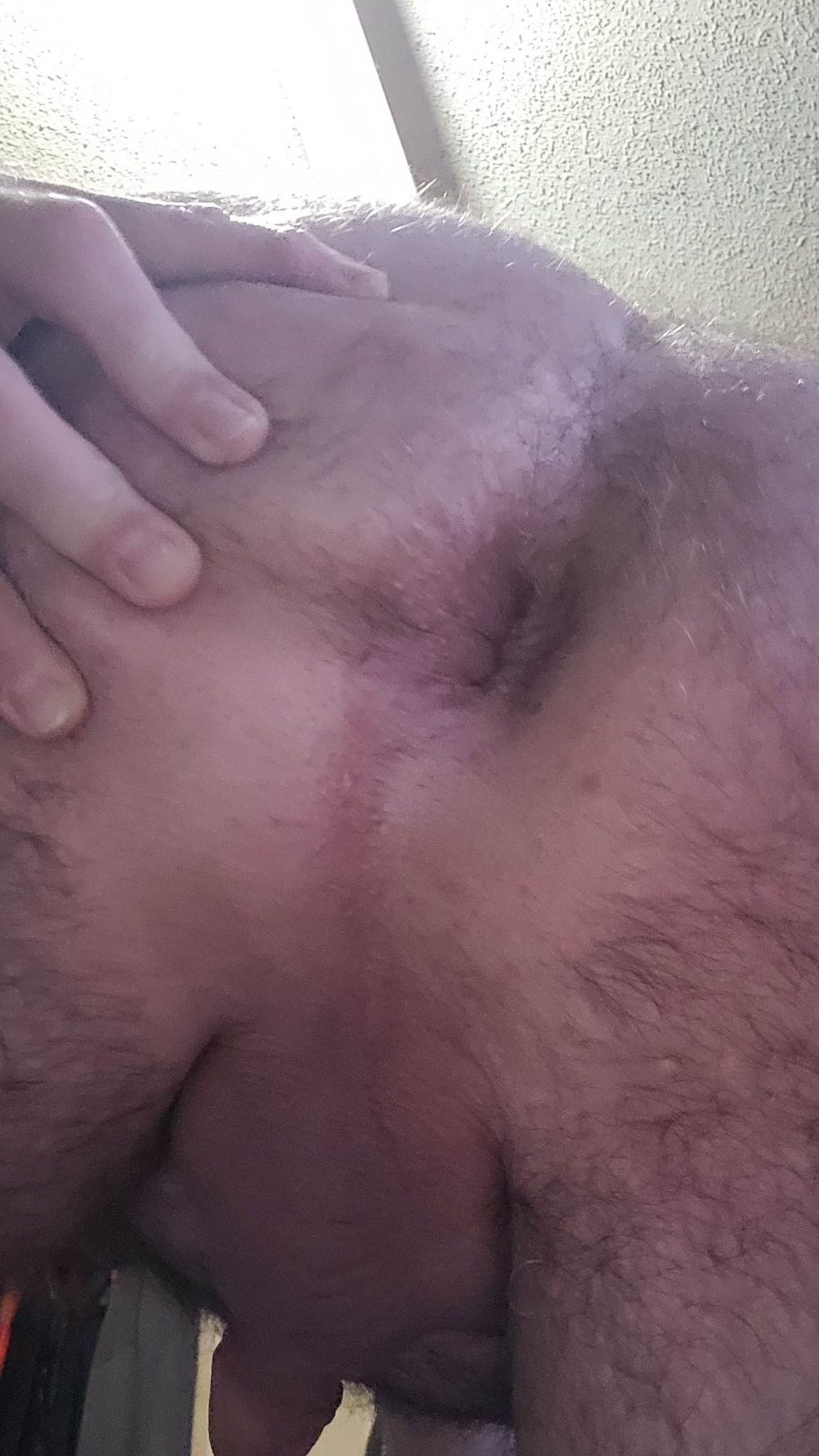 My hairy butthole #8