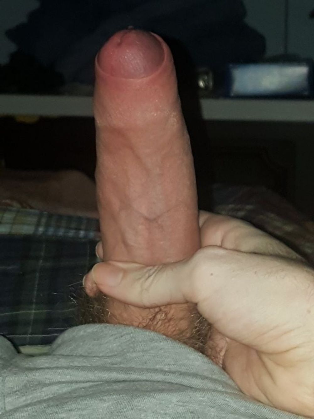 Cocks my followers sent me #58