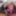 Claire Knight and Lily May love vibrators