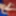 RNW0005 Coco Rose vs Rapunzel Nude Wrestling Live #3